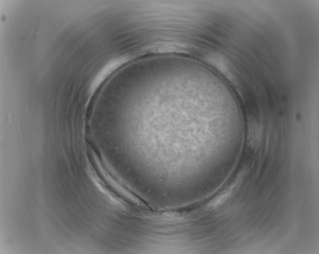 X0000065240986200602242020