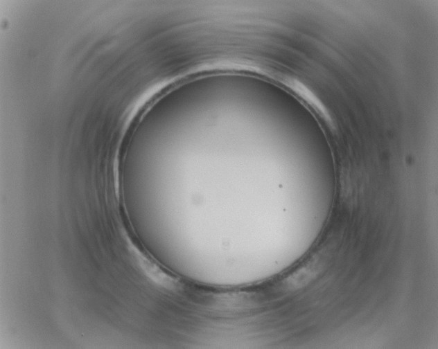 X0000065240988200602242020