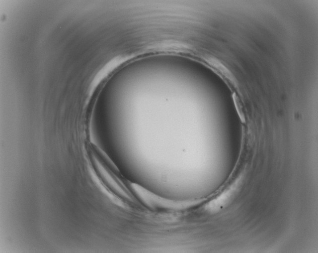 X0000065240989200602242020