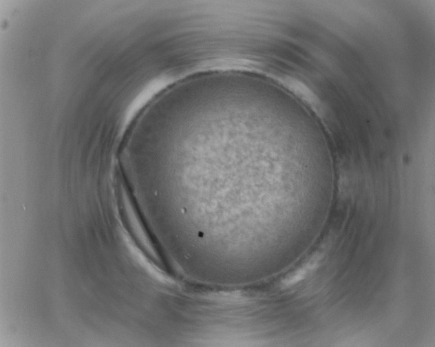 X0000065240990200602242020