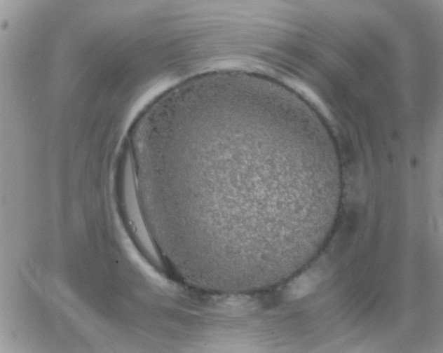 X0000065240991200602242020