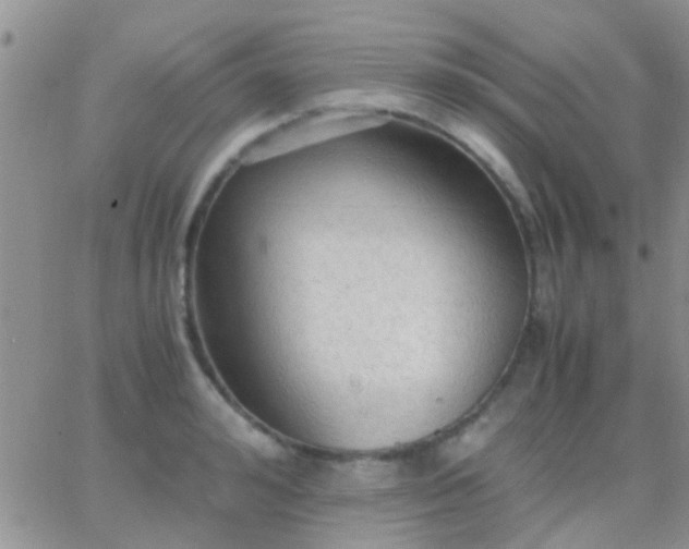 X0000065240992200602242020