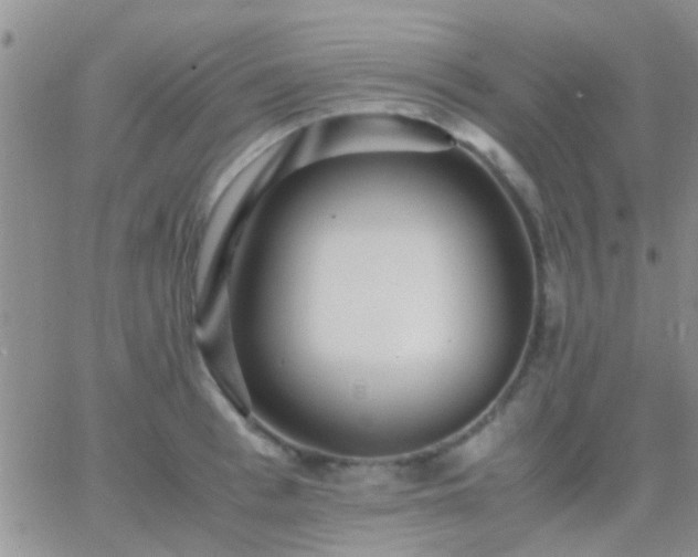 X0000065240993200602242020