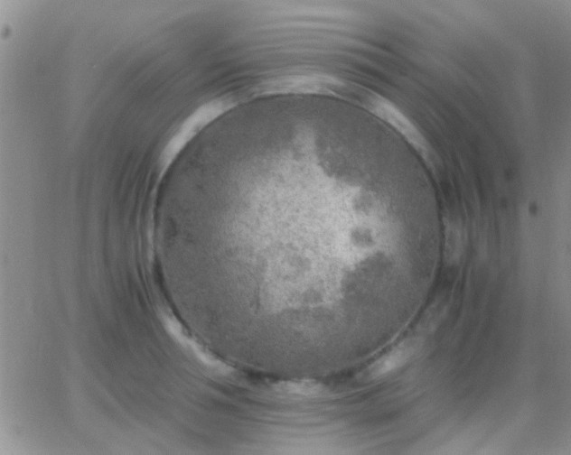 X0000065240994200602242020