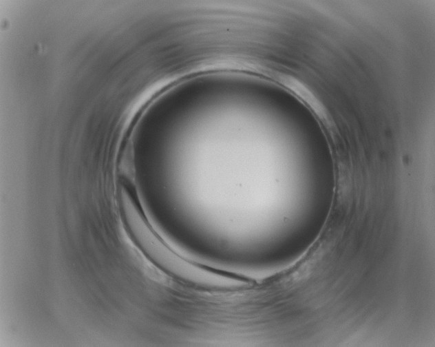 X0000065240996200602242020