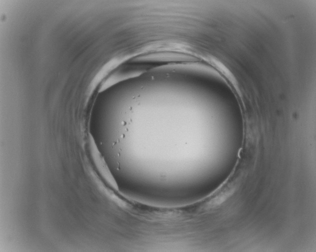 X0000065240997200602242020