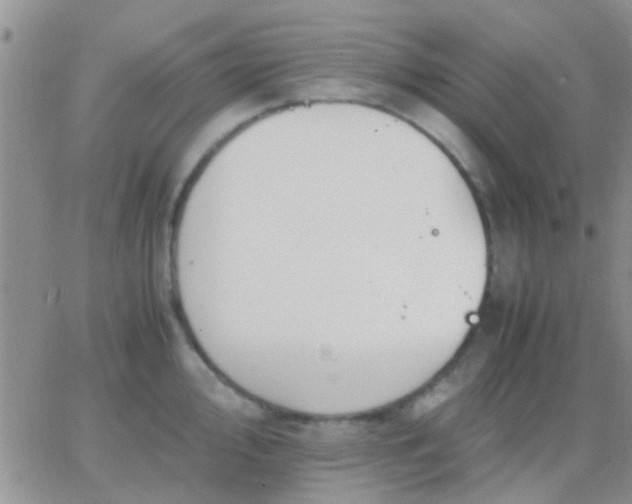 X0000065241000200602242020