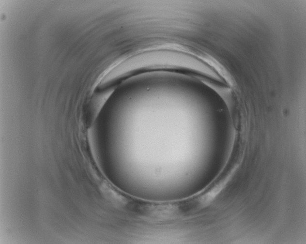 X0000065241001200602242020