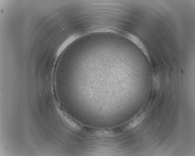 X0000065241002200602242020