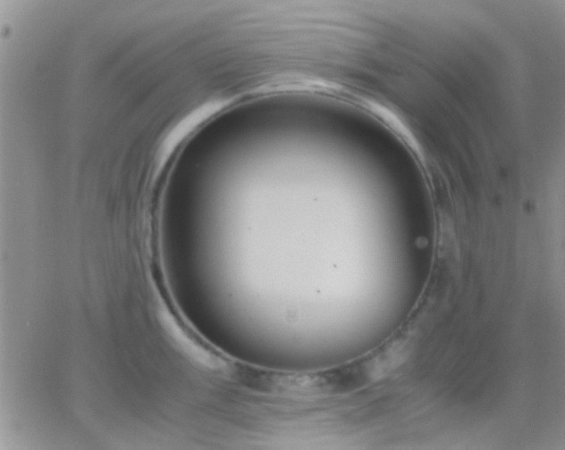 X0000065241003200602242020