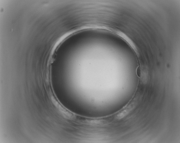 X0000065241004200602242020