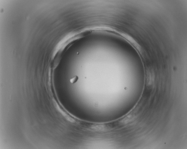 X0000065241006200602242020