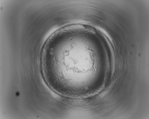 X0000065241007200602242020