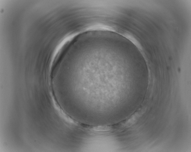 X0000065241008200602242020