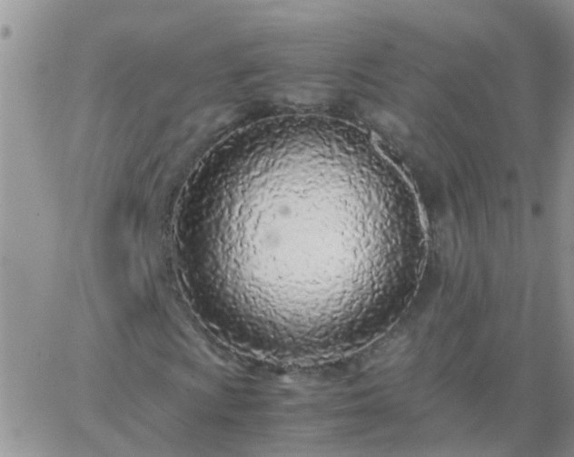 X0000065241009200602242019