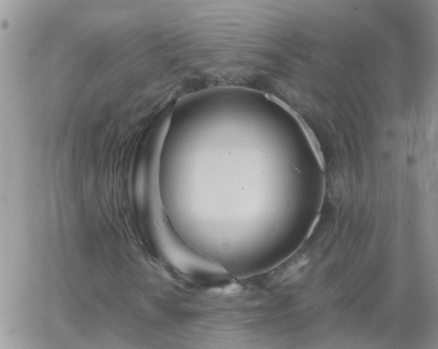 X0000065241010200602242019