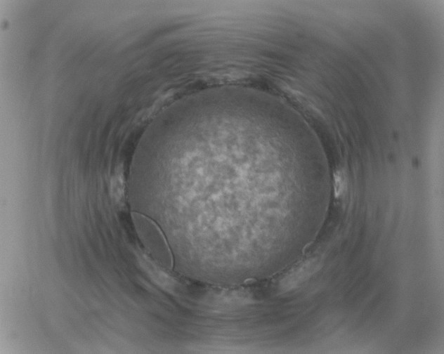 X0000065241011200602242019