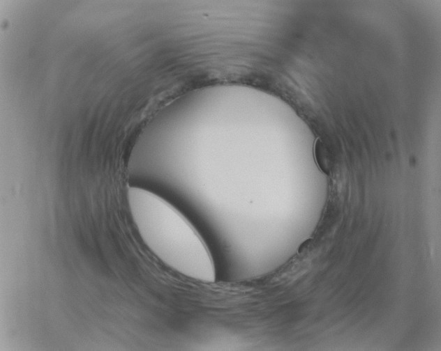 X0000065241012200602242019