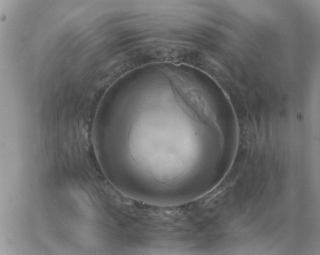 X0000065241013200602242019