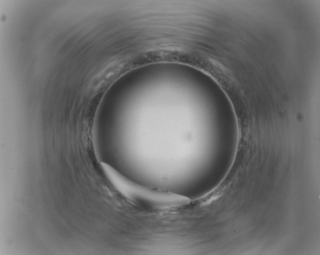 X0000065241014200602242019