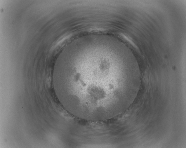 X0000065241015200602242019