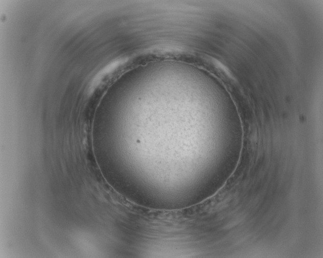 X0000065241016200602242019