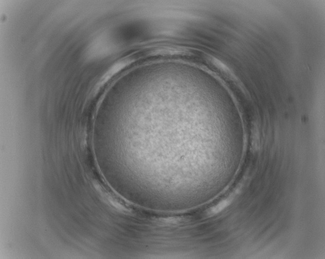 X0000065241017200602242019