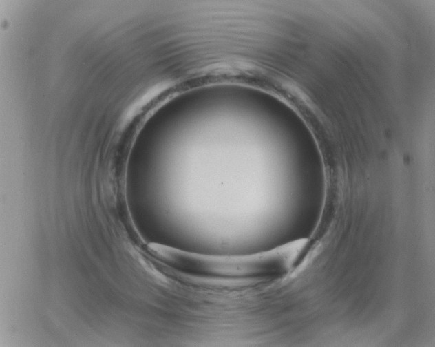 X0000065241018200602242019