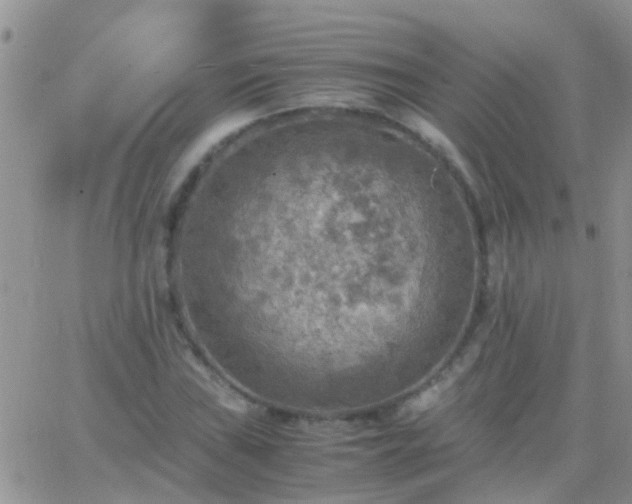 X0000065241019200602242019