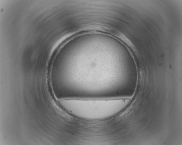 X0000065241020200602242019