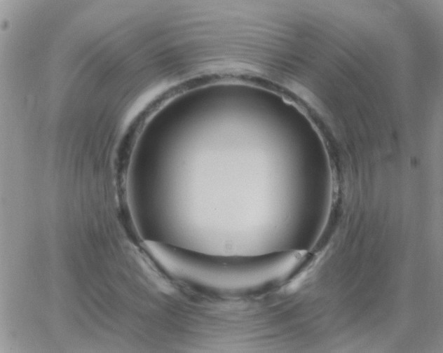 X0000065241022200602242019