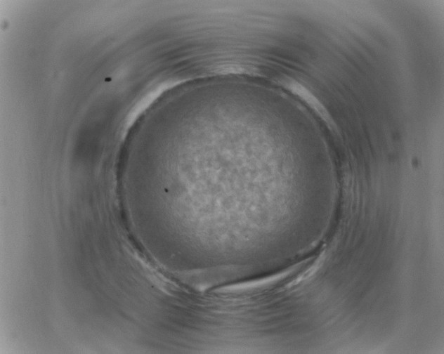 X0000065241023200602242019