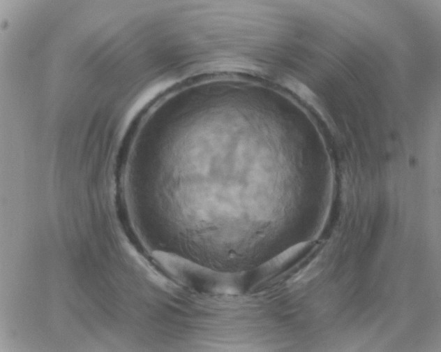 X0000065241024200602242019