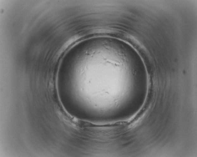 X0000065241025200602242019