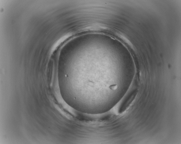 X0000065241026200602242019