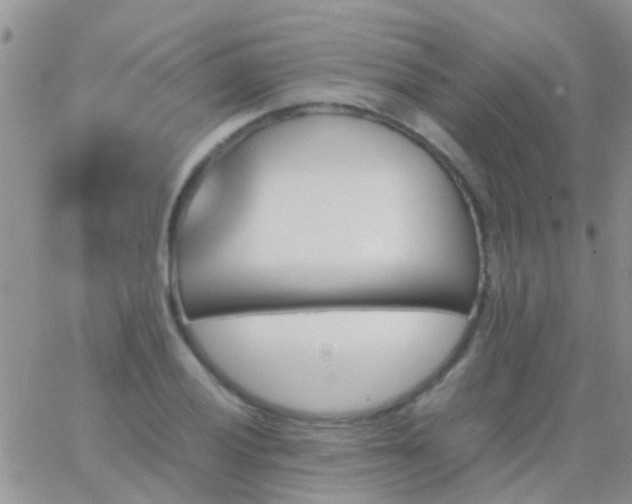 X0000065241028200602242019