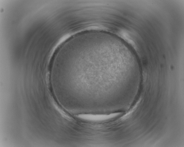 X0000065241029200602242019