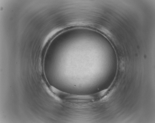 X0000065241030200602242019