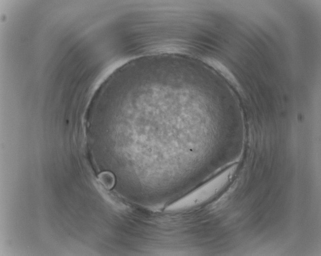 X0000065241031200602242019