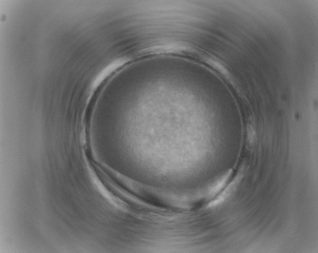 X0000065241034200602242019