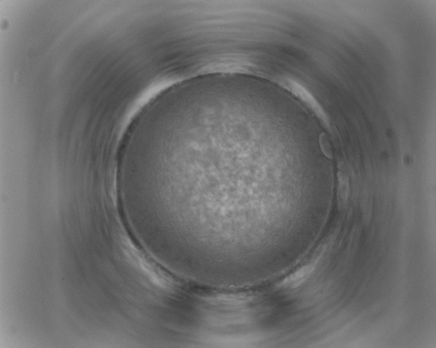 X0000065241035200602242019