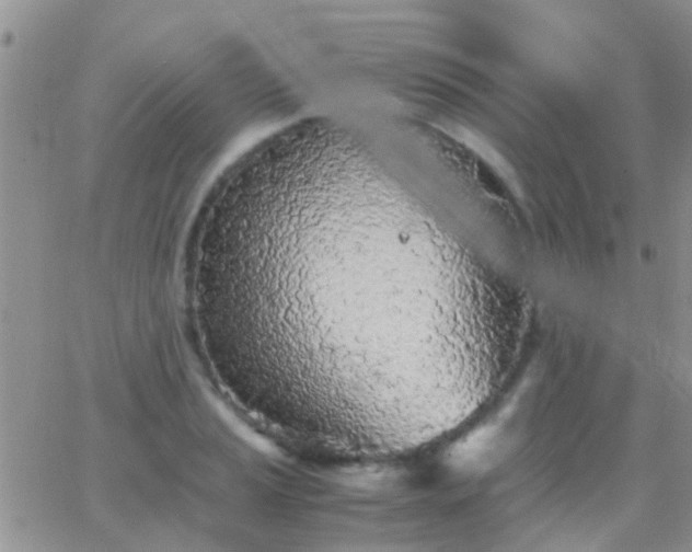 X0000065241037200602242019