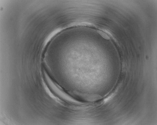 X0000065241038200602242019