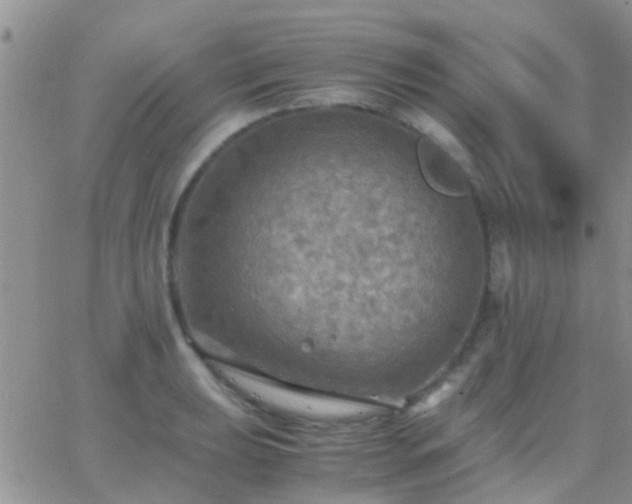 X0000065241039200602242019