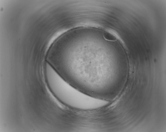 X0000065241040200602242019