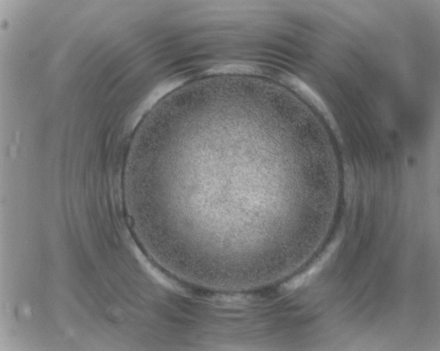 X0000065241041200602242019