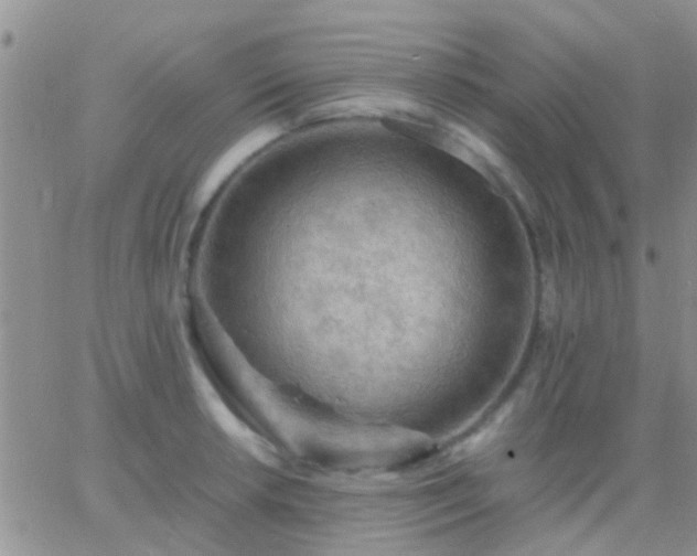 X0000065241042200602242019