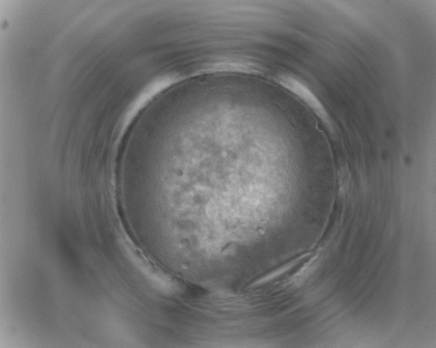 X0000065241043200602242019