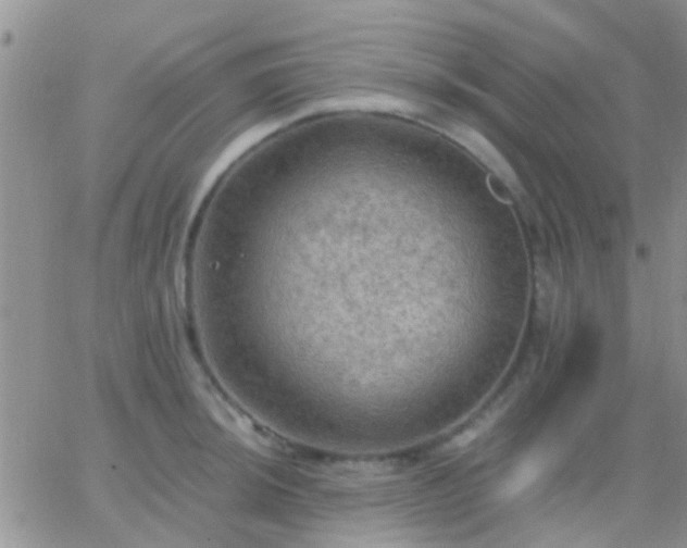 X0000065241044200602242019