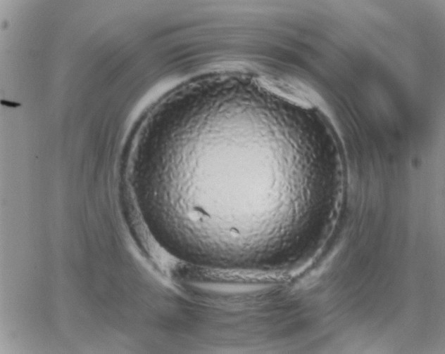 X0000065241045200602242020